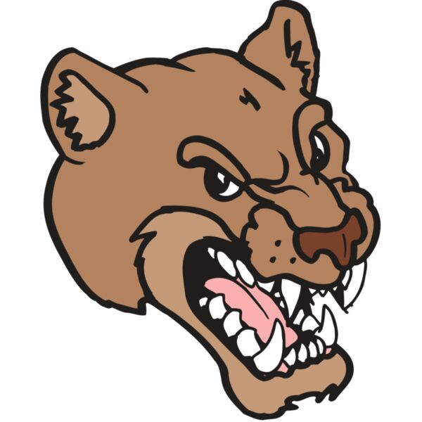 AR5 COUGAR 12 RQC Miniaturansicht