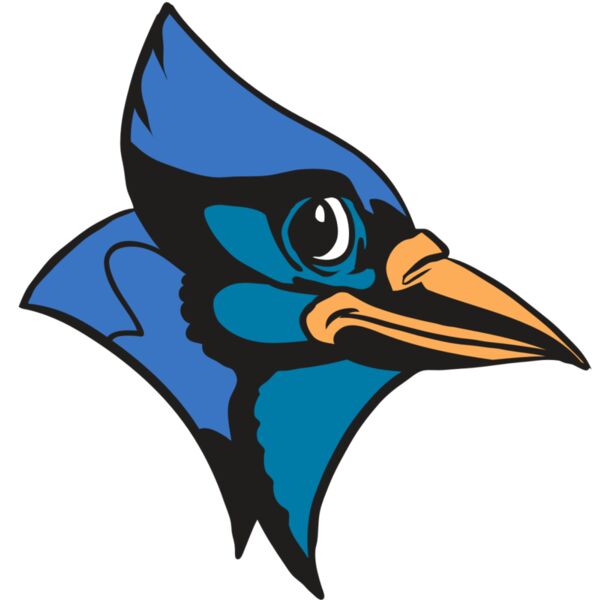 AR31 BLUEJAY 04 RQC Miniaturansicht