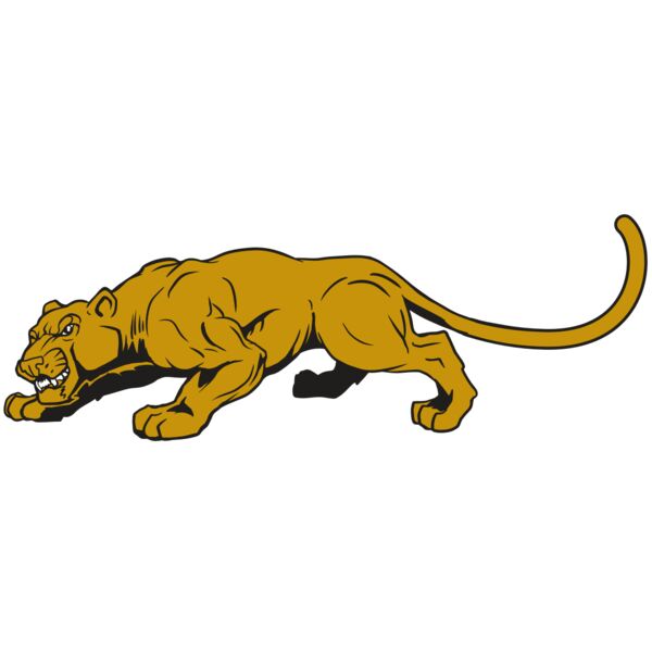 AR10 PAN COU 01 RQC Miniaturansicht