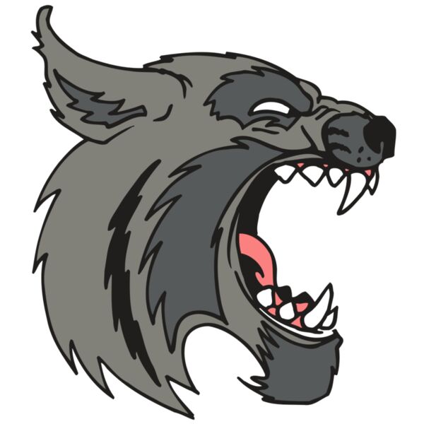 AR5 BOBCAT 08 RQC Miniaturansicht