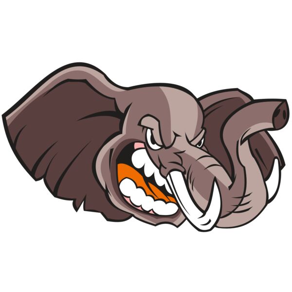 ELEPHANT HD0503 RQC Miniaturansicht