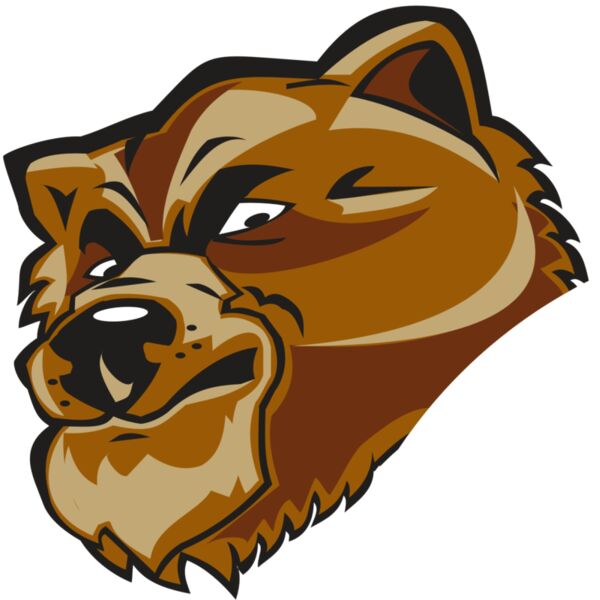 BEAR HD0504 RQC Miniaturansicht