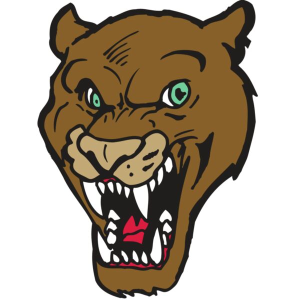 AR5 COUGAR 16 RQC Miniaturansicht