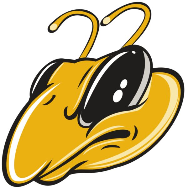 BEE HD0501 RQC Miniaturansicht