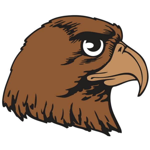 BAW HWK FLCN 05 RC Miniaturansicht