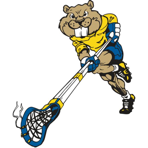 AR8 BEAVER 02 RQC Miniaturansicht