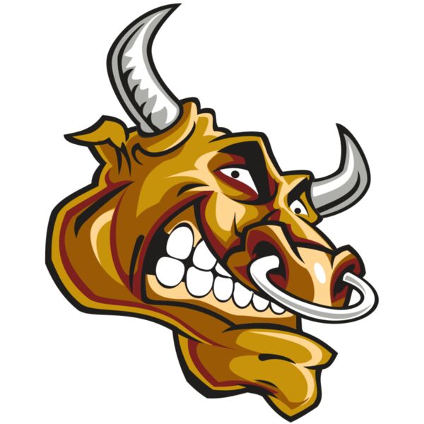 BULL HD0503 RQC Miniaturansicht