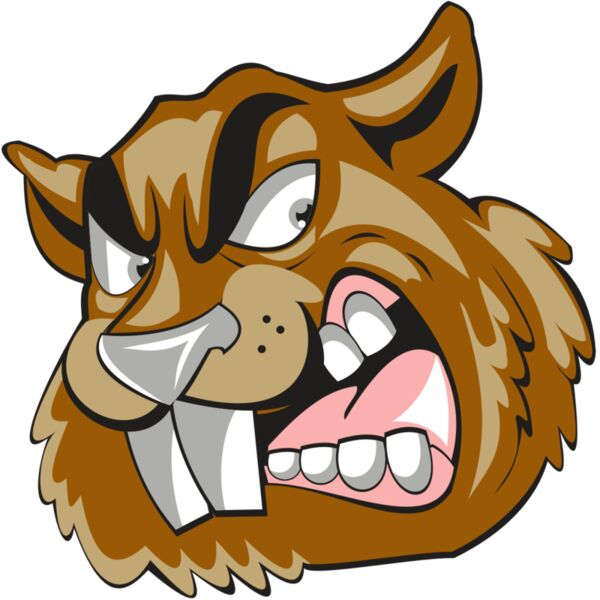 BEAVER HD0504 RQC Miniaturansicht