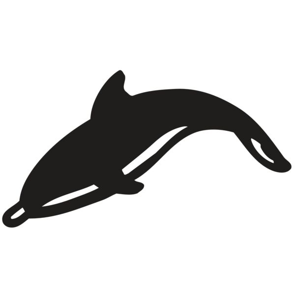 AR DOLPIN 16 RC Miniaturansicht