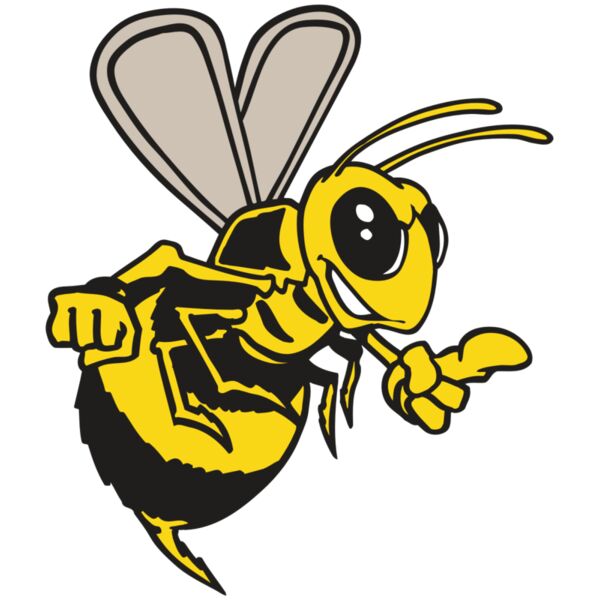 AR BEE 20 RC Miniaturansicht