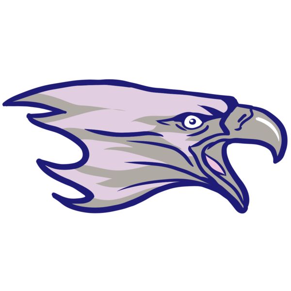 AR15 EAGLE 01 RQC Miniaturansicht