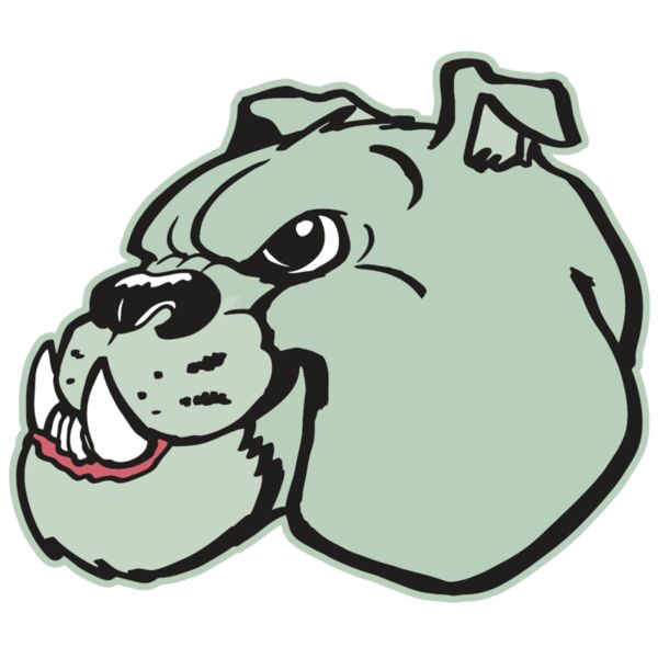 AR BDOG 29 RC Miniaturansicht