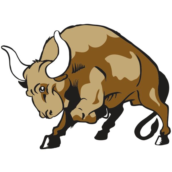 AR BULL 41 RC Miniaturansicht