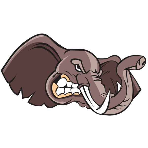 ELEPHANT HD0501 RQC Miniaturansicht