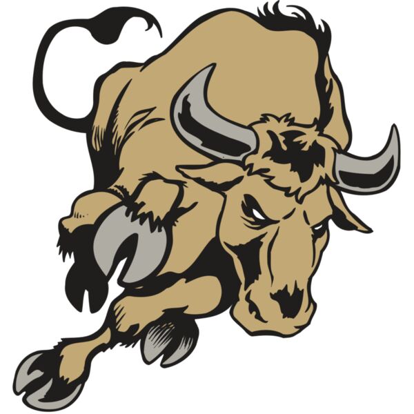 AR BULL 51 RC Miniaturansicht