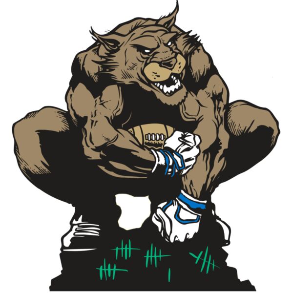 AR WILDCAT 34 RC Miniaturansicht