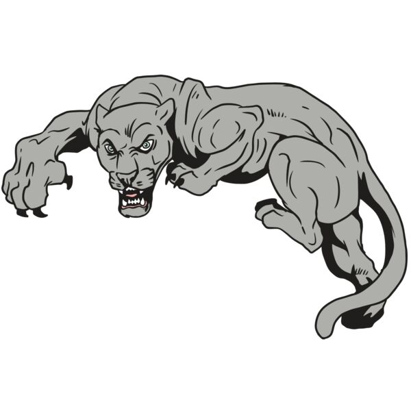 AR10 PANTHER 02 RQC Miniaturansicht