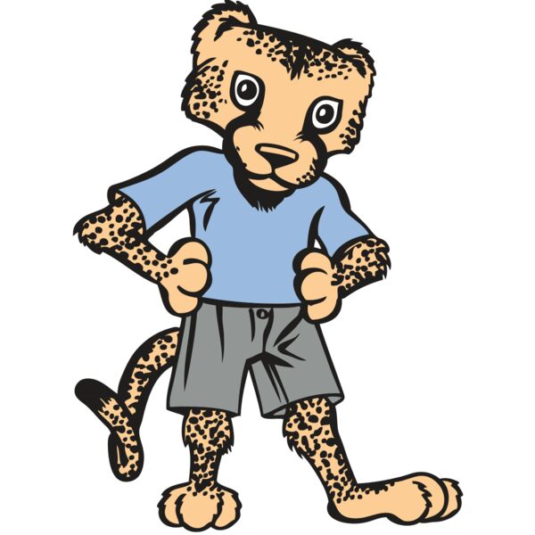 BAW CHEETAH 03 RC Miniaturansicht