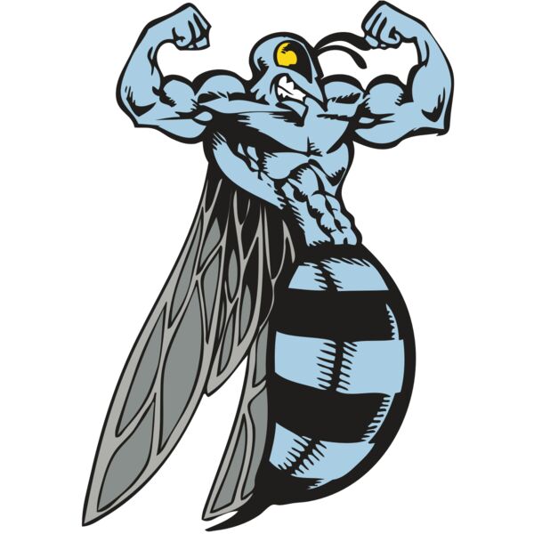 BAW BEE 08 RC Miniaturansicht