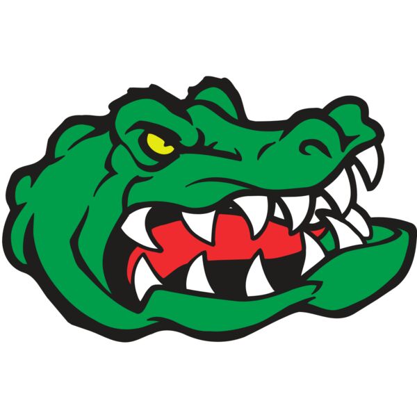 AR GATOR 19 RQC Miniaturansicht