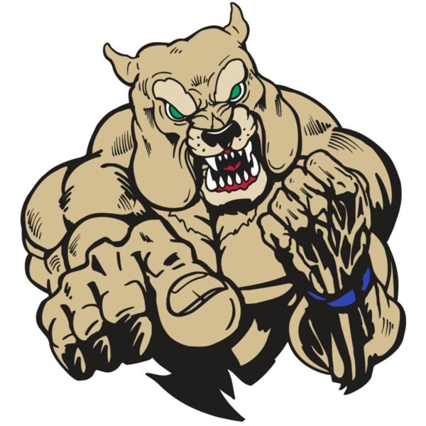 AR5 Bulldog 31 RQC Miniaturansicht