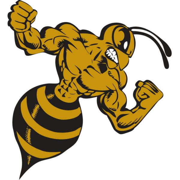 BAW BEE 01 RC Miniaturansicht