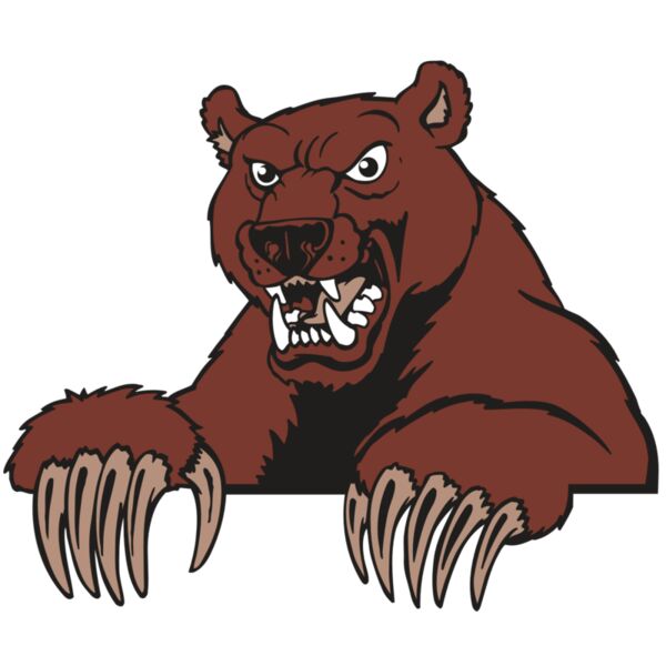 AR BEAR 27 RC Miniaturansicht