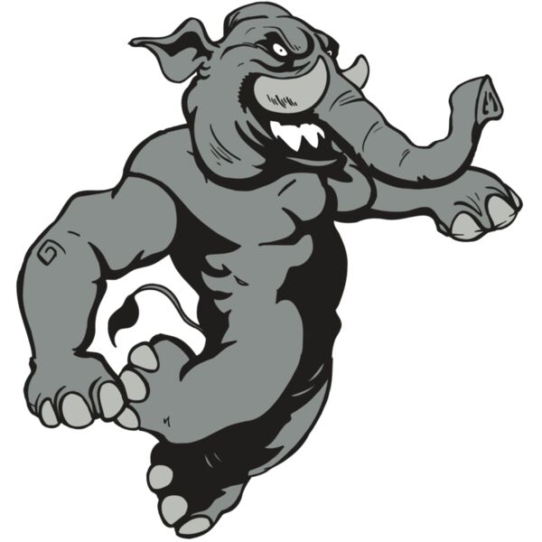 AR5 Elephant 09 RQC Miniaturansicht