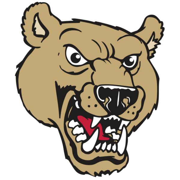 AR BEAR 09 RC Miniaturansicht