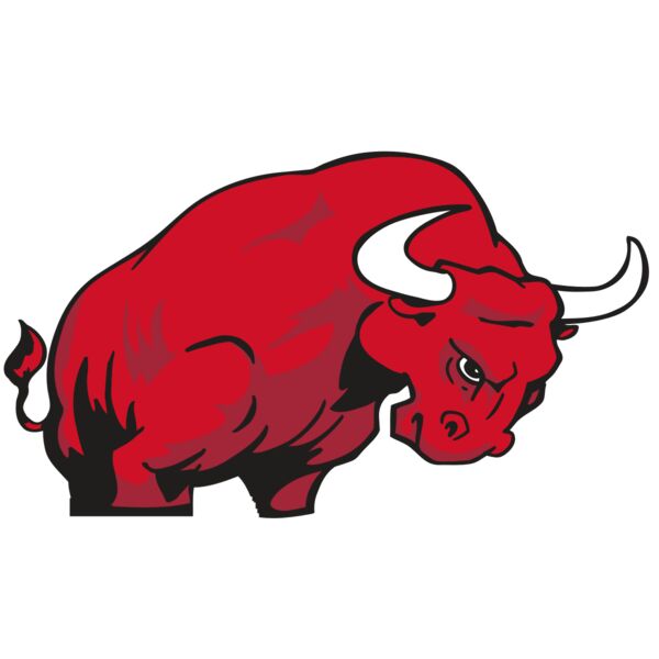 AR BULL 12 RC Miniaturansicht