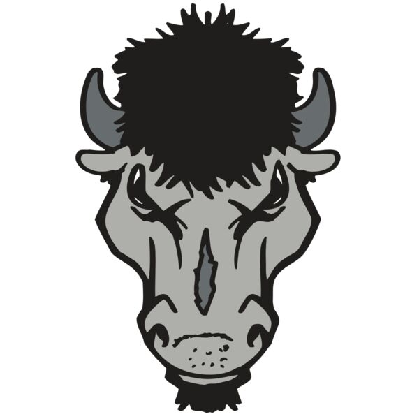 AR BUFFALO 15 RC Miniaturansicht