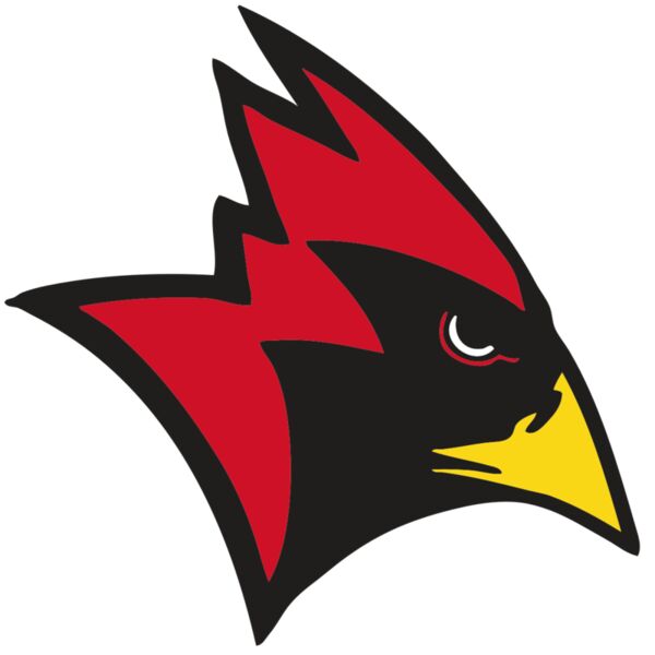 AR CARDINAL 23 RC Miniaturansicht