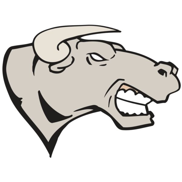 AR BULL 18 RC Miniaturansicht