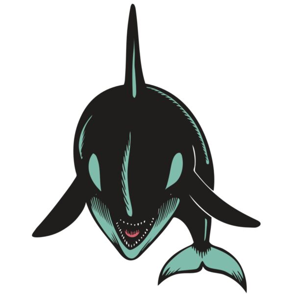 BAW KLRWHALE 03 RC Miniaturansicht