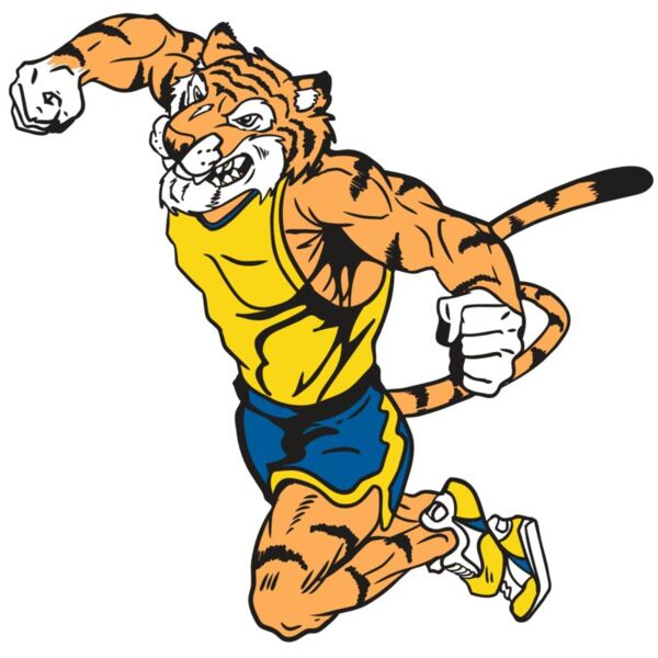 AR9 TIGER TRK RQC Miniaturansicht