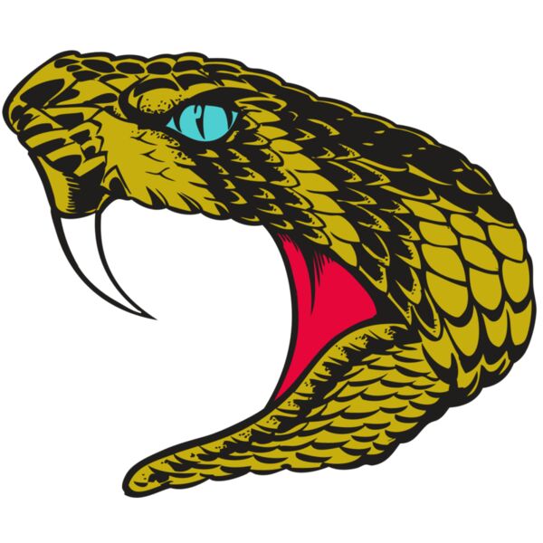 BAW SNAKE 16 RC Miniaturansicht