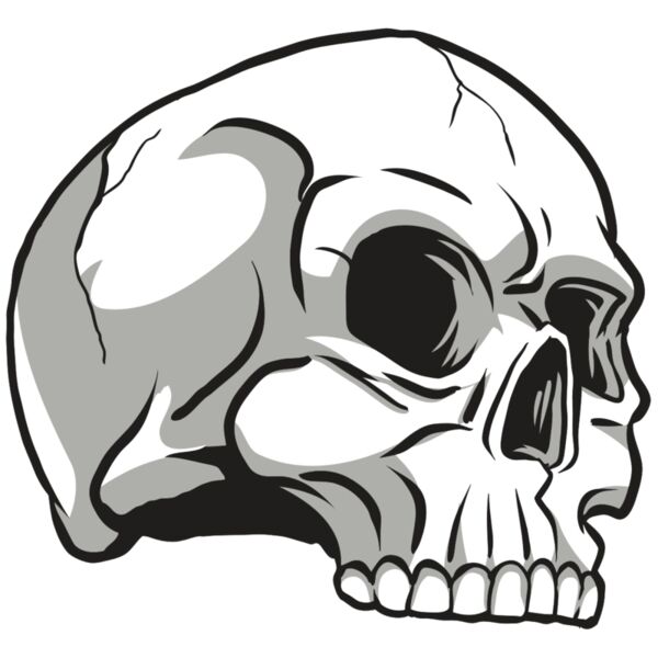 AR24 SKULL 10 RQC Miniaturansicht