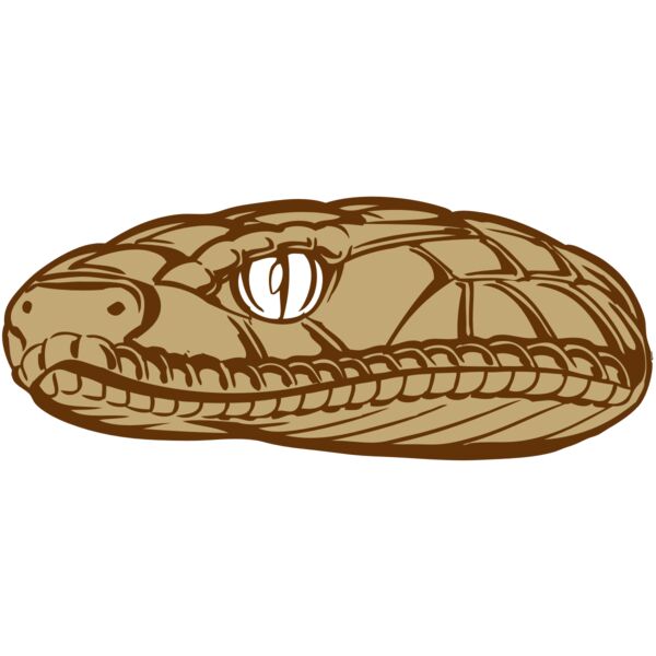 BAW SNAKE 12 RC Miniaturansicht