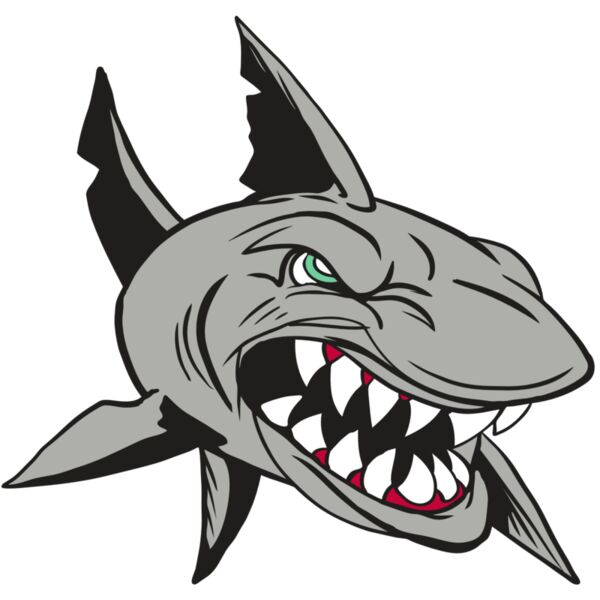 AR4 SHARK 01 RQC Miniaturansicht