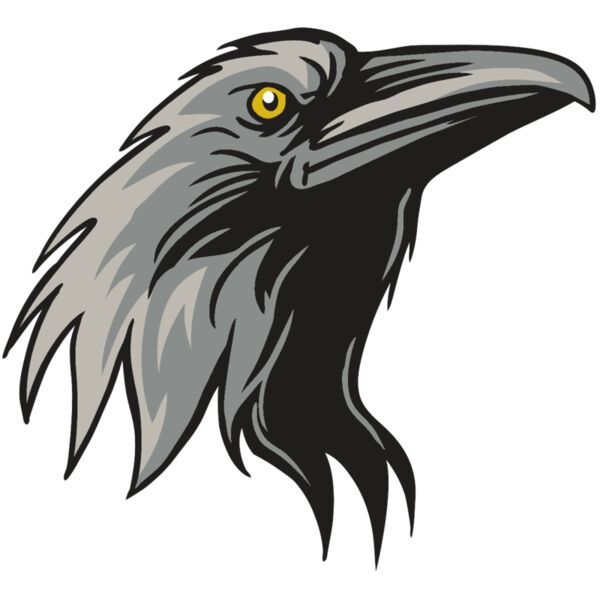 AR31 RAVEN 01 RQC Miniaturansicht