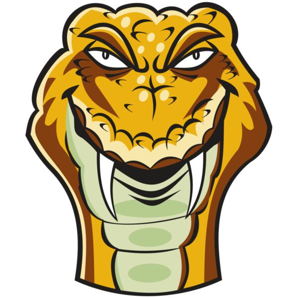 SNAKE HD0503 RQC Miniaturansicht