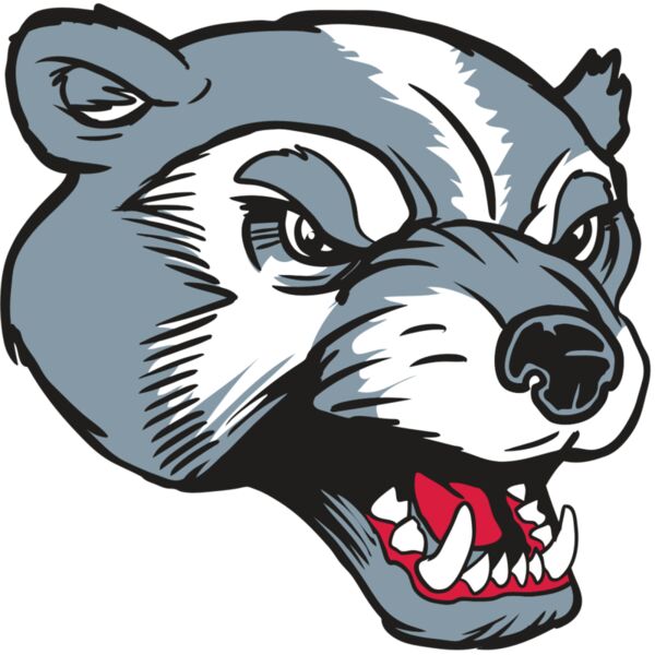 AR13 WLVRN 02 RQC Miniaturansicht