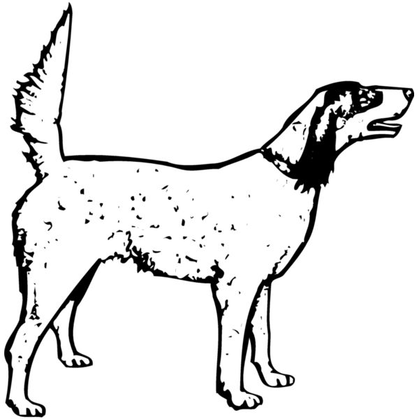 DC0020 Miniaturansicht