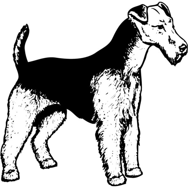 DC0032 Miniaturansicht