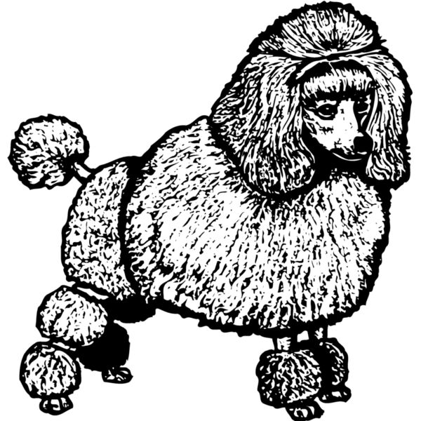 DC0040 Miniaturansicht