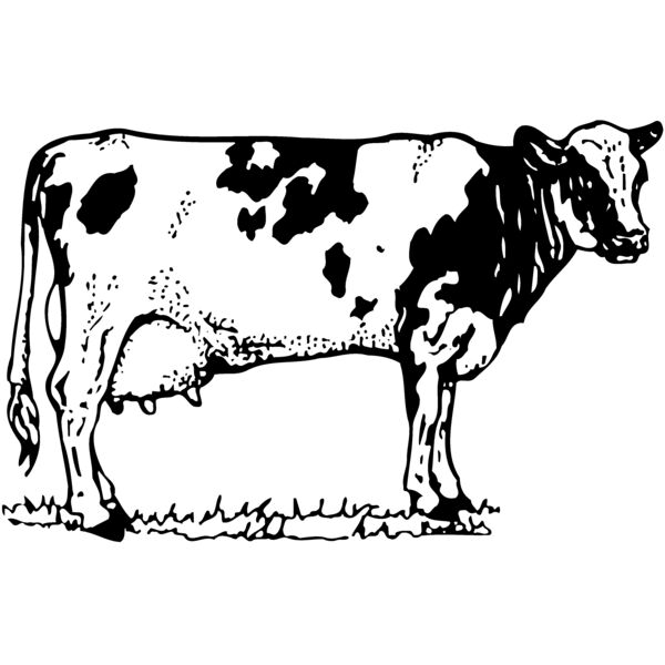 COW026 Miniaturansicht