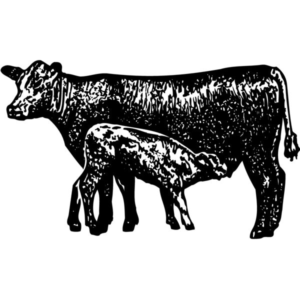 COW029 Miniaturansicht