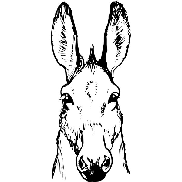 BURRO008 Miniaturansicht