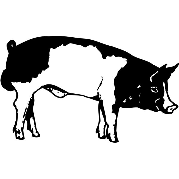 HOG0008 Miniaturansicht