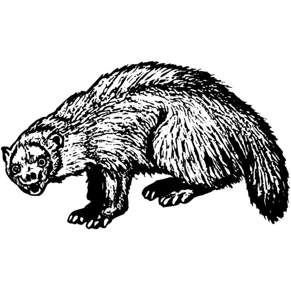 BADGER01 Miniaturansicht